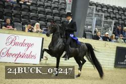 24BUCK_05247 thumbnail
