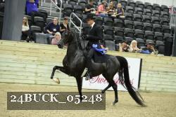 24BUCK_05248 thumbnail