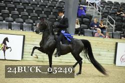 24BUCK_05249 thumbnail