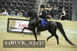 24BUCK_05251 thumbnail