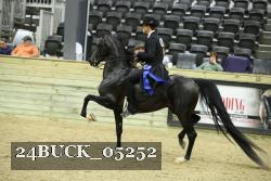 24BUCK_05252 thumbnail