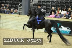24BUCK_05253 thumbnail