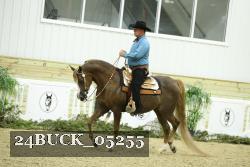 24BUCK_05255 thumbnail