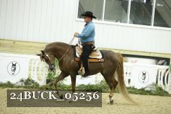 24BUCK_05256 thumbnail