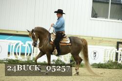 24BUCK_05257 thumbnail
