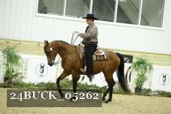 24BUCK_05262 thumbnail
