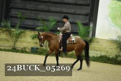 24BUCK_05269 thumbnail