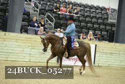 24BUCK_05277 thumbnail