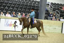 24BUCK_05279 thumbnail