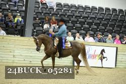 24BUCK_05281 thumbnail