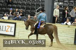 24BUCK_05285 thumbnail