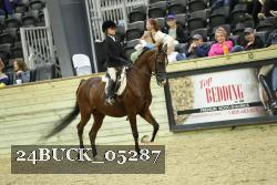 24BUCK_05287 thumbnail