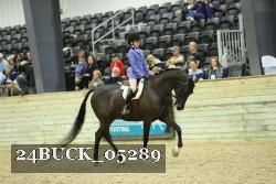 24BUCK_05289 thumbnail