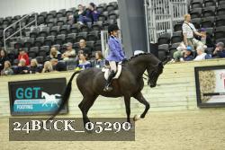24BUCK_05290 thumbnail