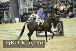 24BUCK_05291 thumbnail
