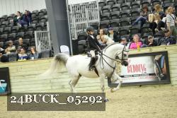 24BUCK_05292 thumbnail