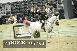 24BUCK_05293 thumbnail