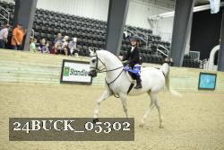 24BUCK_05302 thumbnail