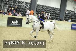 24BUCK_05303 thumbnail