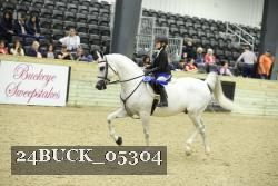 24BUCK_05304 thumbnail
