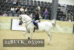 24BUCK_05306 thumbnail