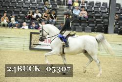 24BUCK_05307 thumbnail