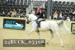24BUCK_05308 thumbnail