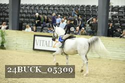 24BUCK_05309 thumbnail
