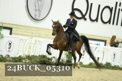 24BUCK_05310 thumbnail
