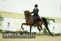 24BUCK_05311 thumbnail