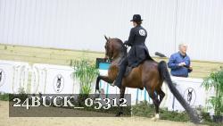 24BUCK_05312 thumbnail