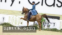24BUCK_05313 thumbnail