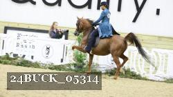 24BUCK_05314 thumbnail