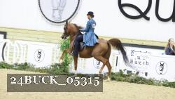 24BUCK_05315 thumbnail