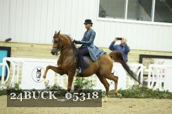 24BUCK_05318 thumbnail