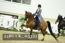 24BUCK_05321 thumbnail