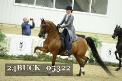 24BUCK_05322 thumbnail