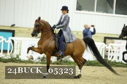 24BUCK_05323 thumbnail