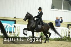 24BUCK_05324 thumbnail