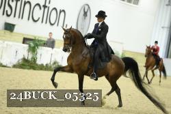 24BUCK_05325 thumbnail