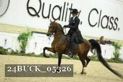 24BUCK_05326 thumbnail