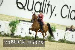24BUCK_05329 thumbnail