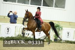 24BUCK_05331 thumbnail