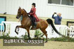 24BUCK_05332 thumbnail