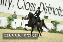24BUCK_05334 thumbnail