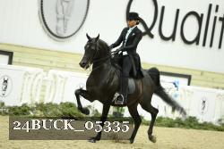 24BUCK_05335 thumbnail