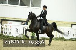 24BUCK_05336 thumbnail