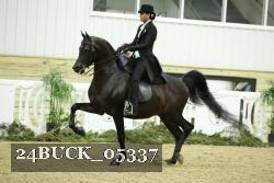 24BUCK_05337 thumbnail
