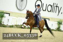 24BUCK_05338 thumbnail