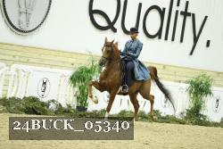 24BUCK_05340 thumbnail